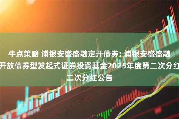 牛点策略 浦银安盛盛融定开债券: 浦银安盛盛融定期开放债券型发起式证券投资基金2025年度第二次分红公告
