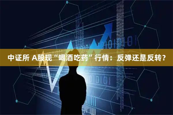 中证所 A股现“喝酒吃药”行情：反弹还是反转？